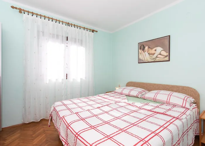 Marin Zarok 바슈카