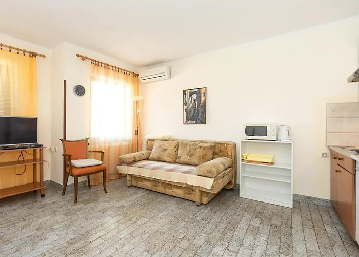 Marin Zarok 바슈카